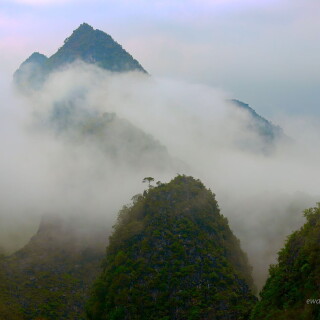 IMG_4847_b