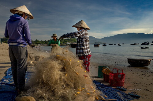 IMG_8039_b.jpeg